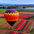 Discovering the Vibrant Festivals of Northwestern Oregon