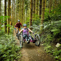 Making Festivals in Northwestern Oregon More Accessible for Individuals with Disabilities