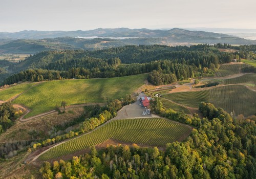 The Best Beer and Wine Gardens at Festivals in Northwestern Oregon